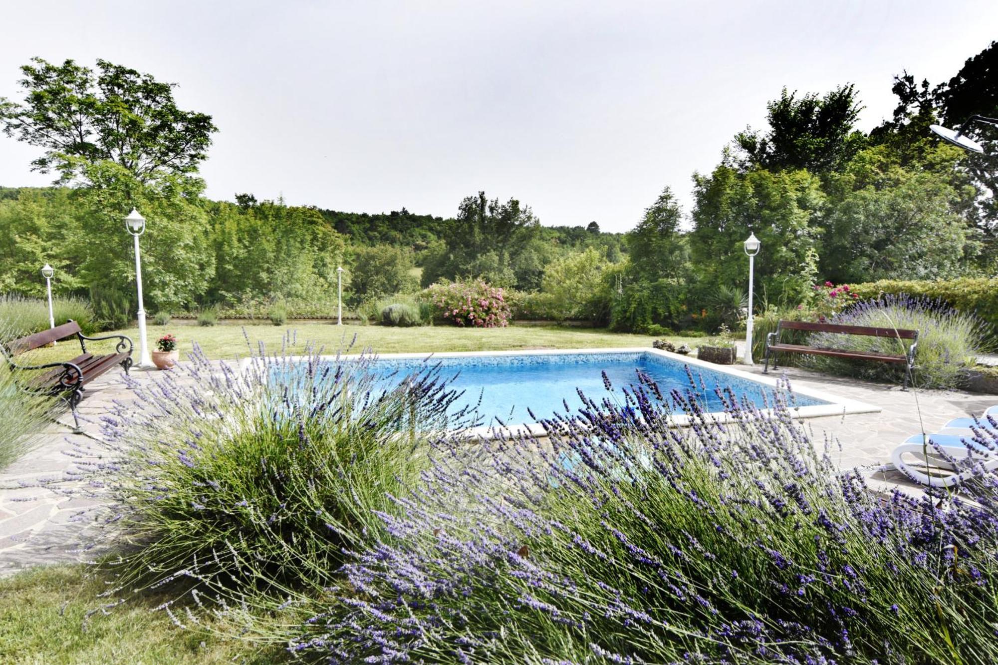 Vila Vesna Grožnjan Extérieur photo